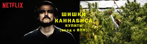 твердый Волоколамск