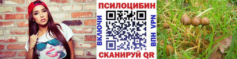 сколько стоит  Жуков  Псилоцибиновые грибы прущие грибы 