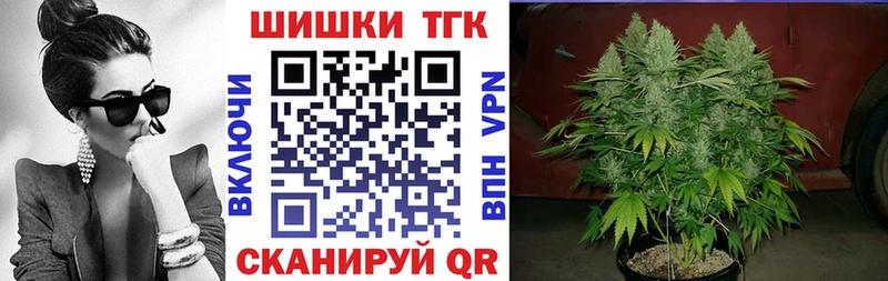 купить закладку  даркнет наркотические препараты  МАРИХУАНА SATIVA & INDICA  Жуков 
